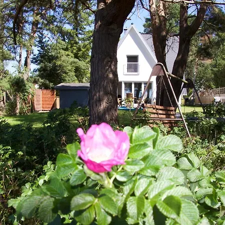 Ferienhaus-achterwasser-usedom Rankwitz